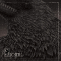 SIGNERI - Singles (ALL NOIR)